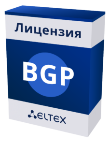 Лицензия Eltex BGP